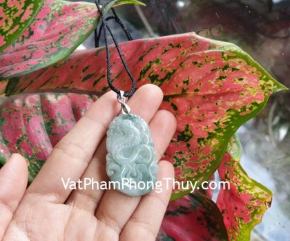 s6886-6-mat-con-giap-phi-thuy-RAN