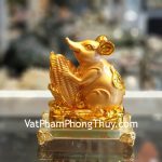 tm019-chuot-vang-om-bap-vang