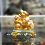 tm034-chuot-vang-tron-ho-lo-2
