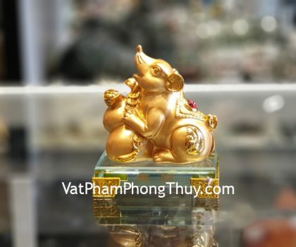 tm034-chuot-vang-tron-ho-lo-2