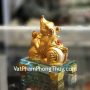 tm034-chuot-vang-tron-ho-lo