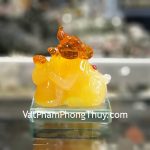 tm036-chuot-vang-cam-ho-lo-2