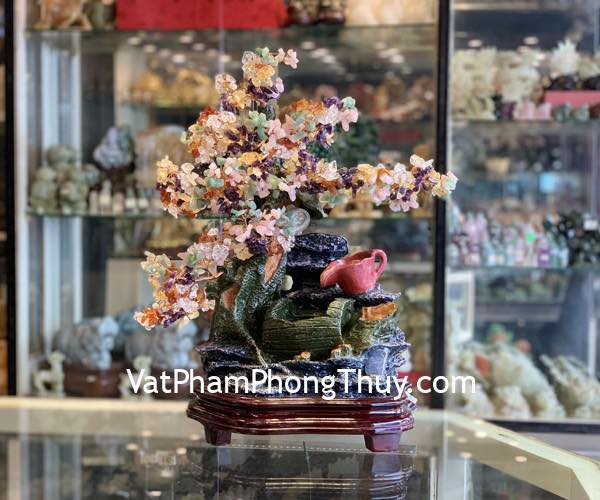 Cây phong thuỷ luân nhiều màu