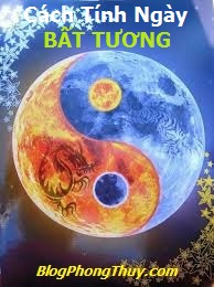 HÌNH ÂM DƯƠNG 12 CTN BT