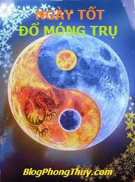 HÌNH ÂM DƯƠNG 12 NT ĐMT