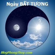 HÌNH ÂM DƯƠNG 5 NBT