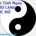 HÌNH ÂM DƯƠNG 7 TNCN