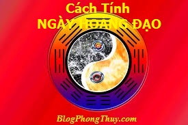 HÌNH ÂM DƯƠNG CT NHĐ