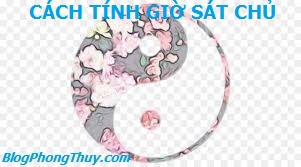 HÌNH ÂM DƯƠNG CTG SC