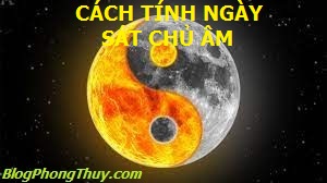 HÌNH ÂM DƯƠNG CTN SCA
