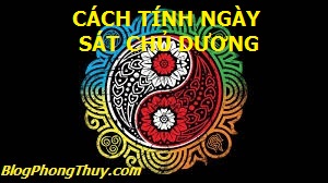 HÌNH ÂM DƯƠNG CTN SCD