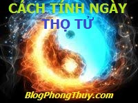 HÌNH ÂM DƯƠNG CTN TT