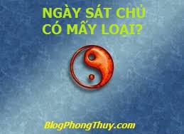 HÌNH ÂM DƯƠNG NSC CÓ MẤY LOẠI