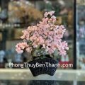 KC120-cay-thach-anh-hong-dang-bonsai