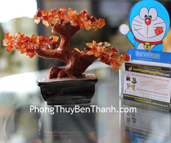 kc051-cay-ma-nao-do-mini-1